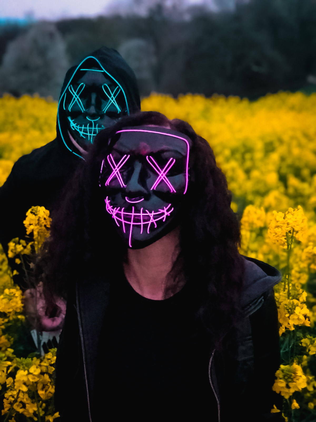 NAS 10 Questions with About Gorillas and Vampires