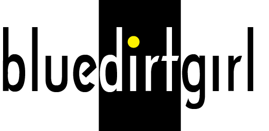 NAS 10 Questions with Blue Dirt Girl