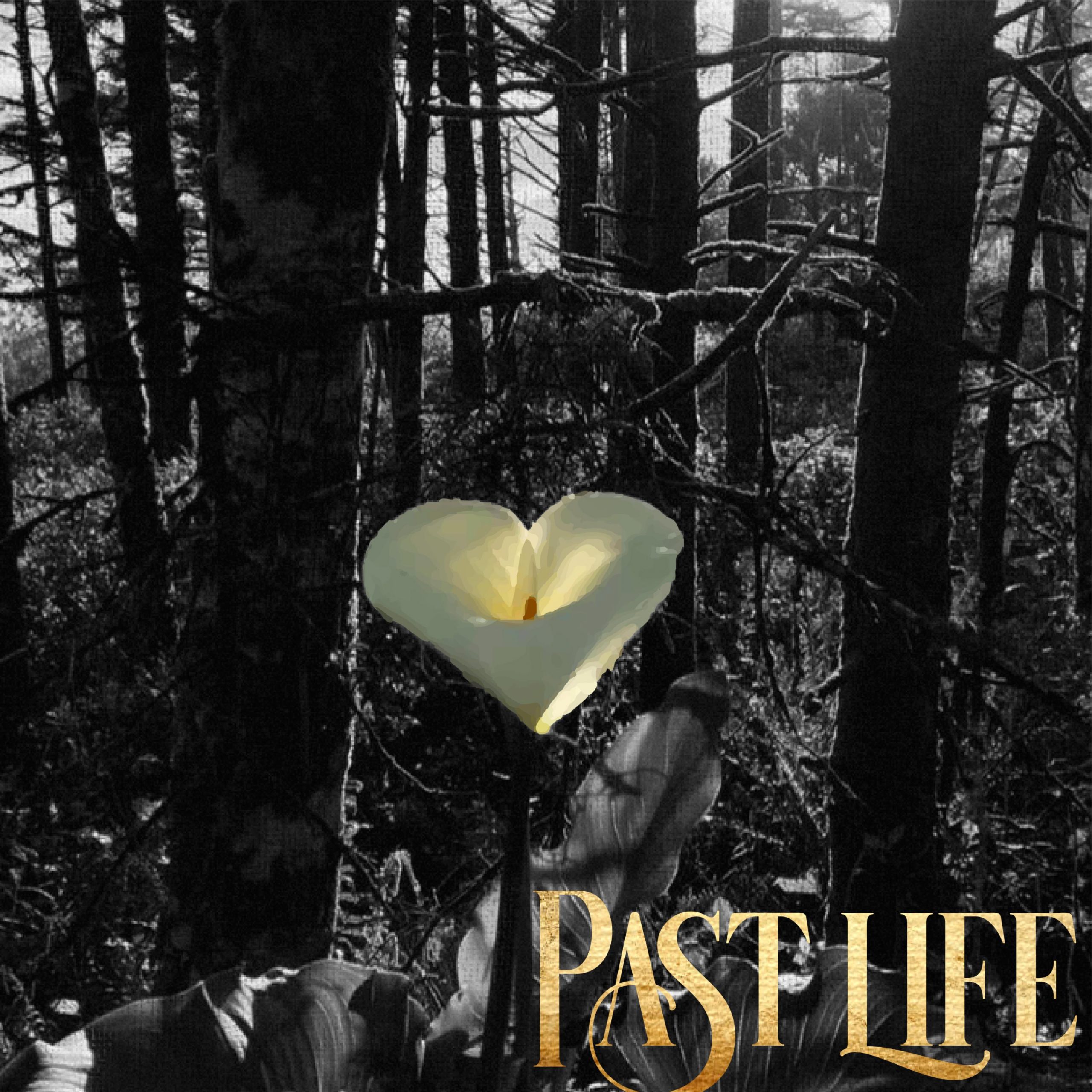 NAS 10 Questions with Shayan Regan