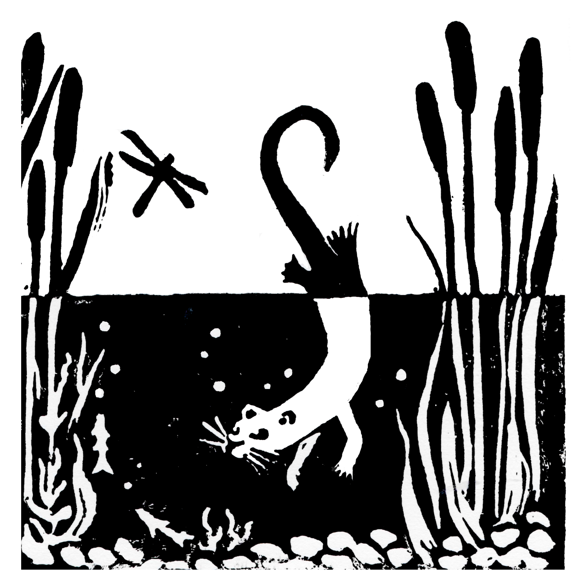 NAS 10 Questions with Sophie Janna