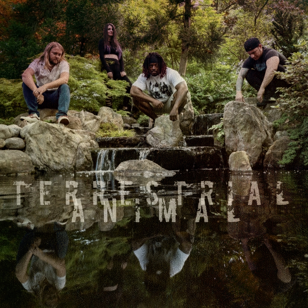 NAS 10 Questions with Terrestrial Animal