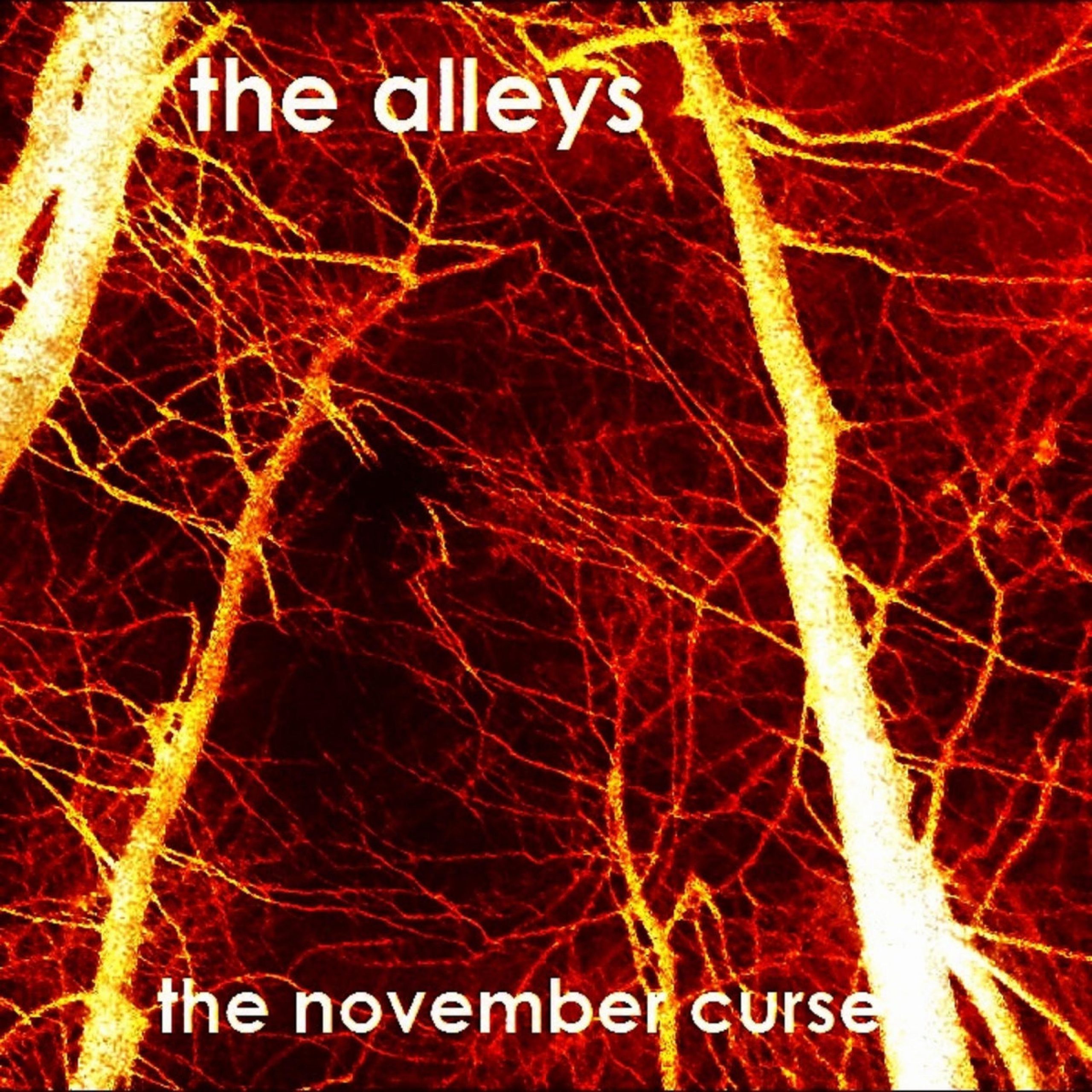 NAS 10 Questions With the alleys