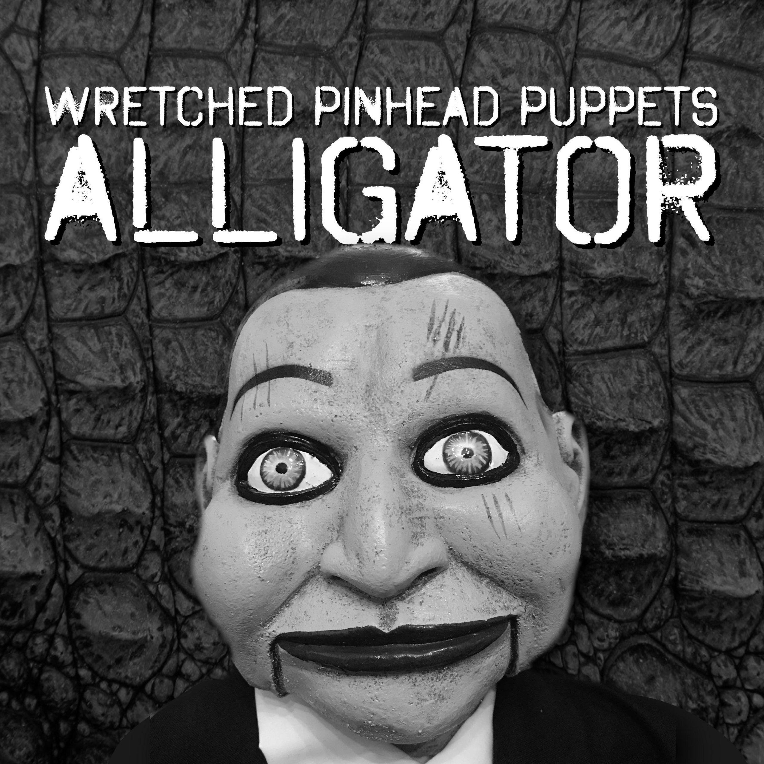 NAS 10 Questions with Wretched Pinhead Puppets / James”Jimmy” Holm