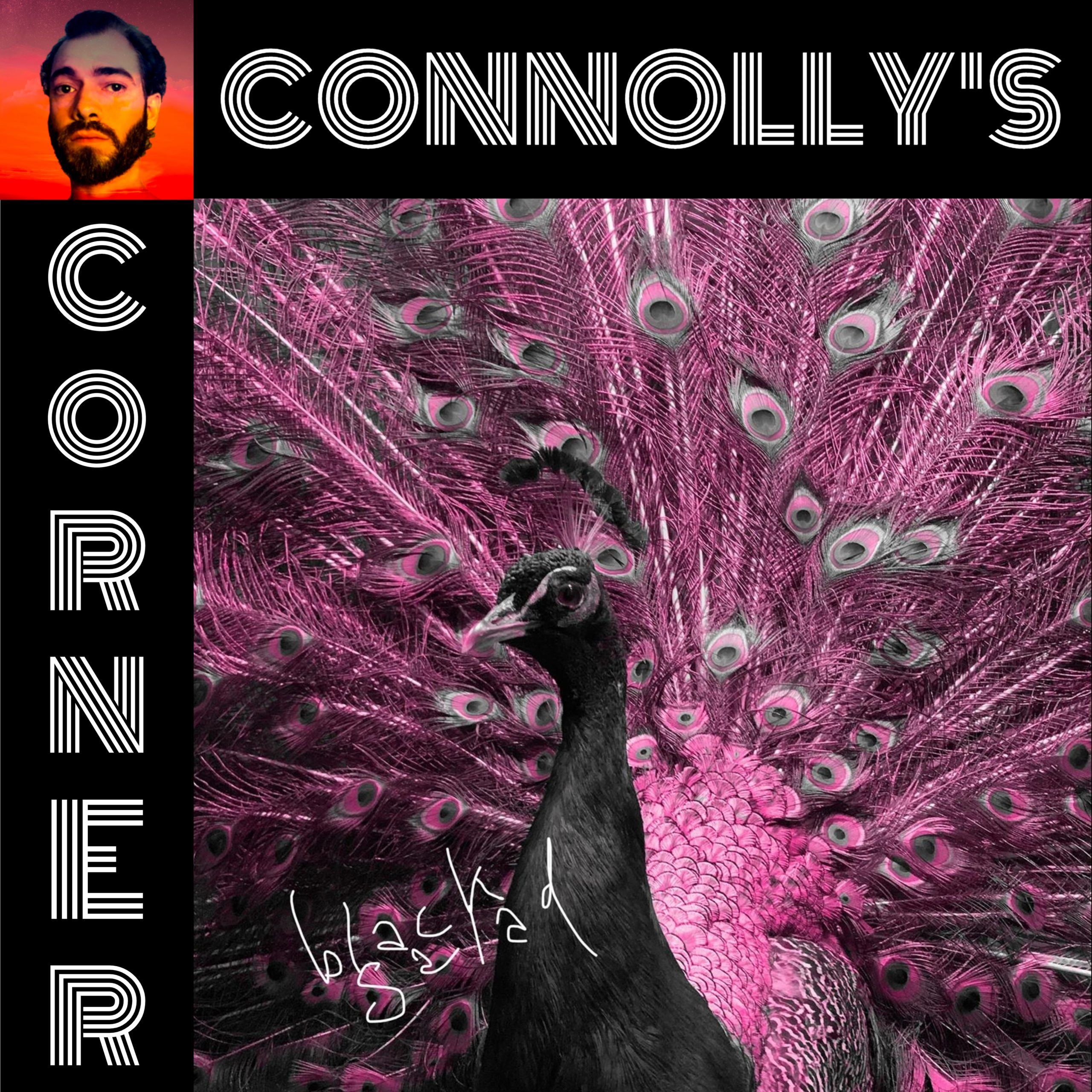 𝗖𝗼𝗻𝗻𝗼𝗹𝗹𝘆’𝘀 𝗖𝗼𝗿𝗻𝗲𝗿 – this week: Black Salad – Kaminski