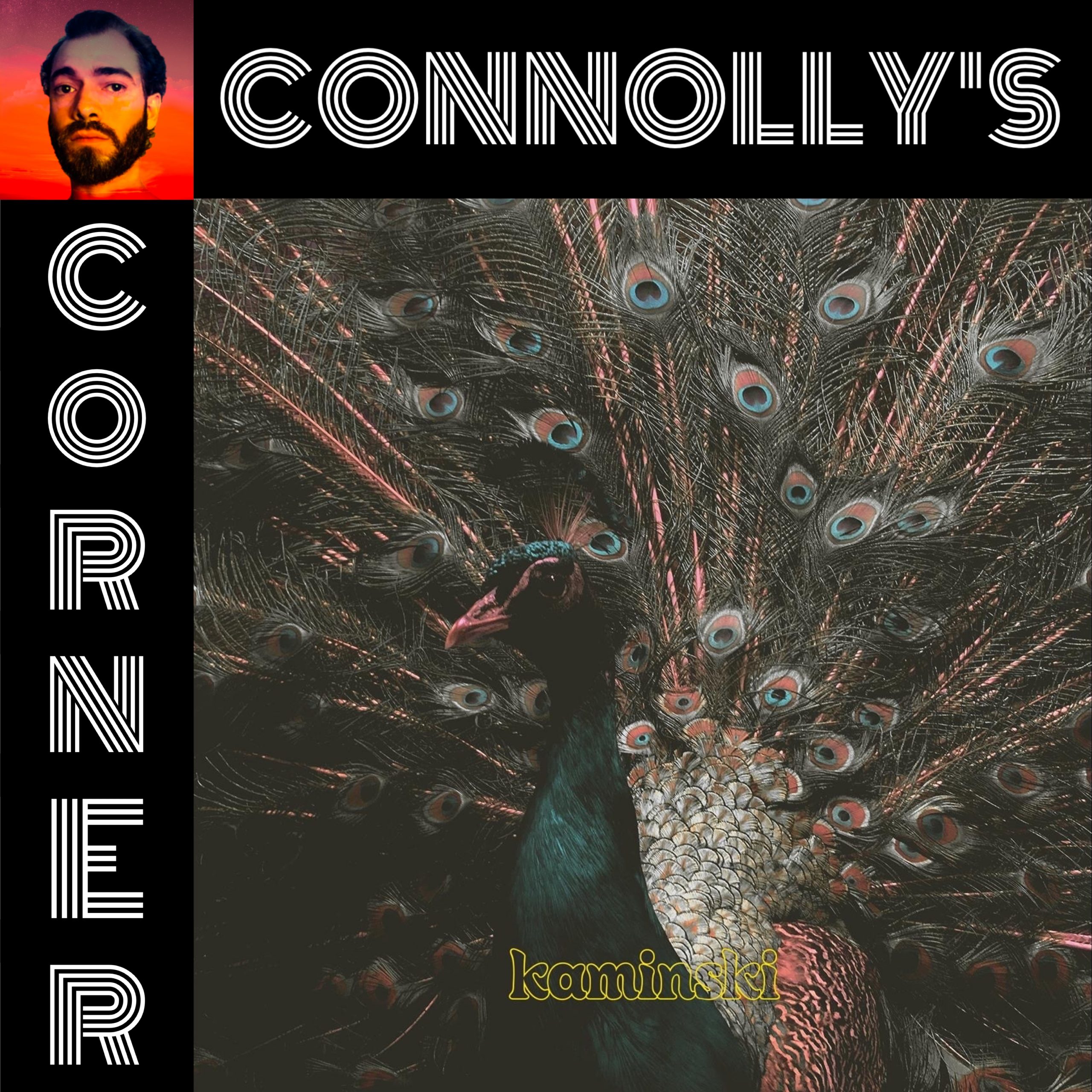 𝗖𝗼𝗻𝗻𝗼𝗹𝗹𝘆’𝘀 𝗖𝗼𝗿𝗻𝗲𝗿 – this week: Hands – Kaminski